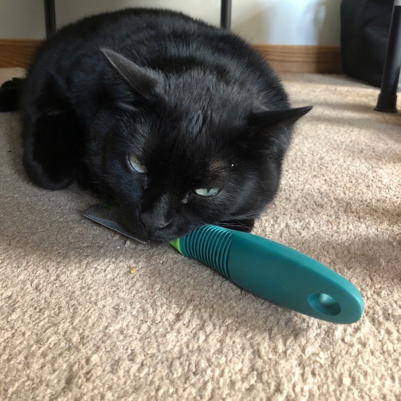 Meet your Posher, Lisa - Picture 7 of 8